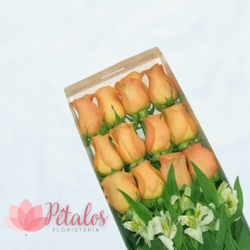 Caja con 12 Rosas Rosadas