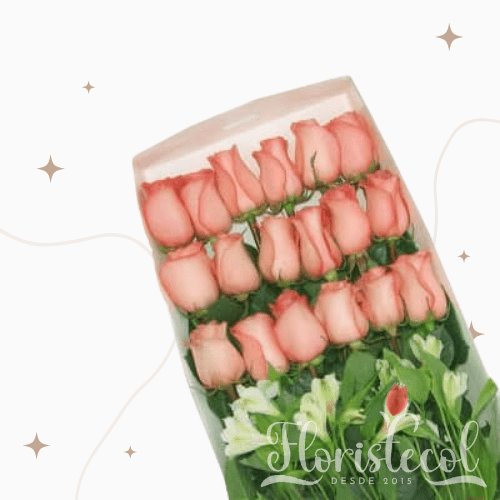 Caja con 18 Rosas Rosadas